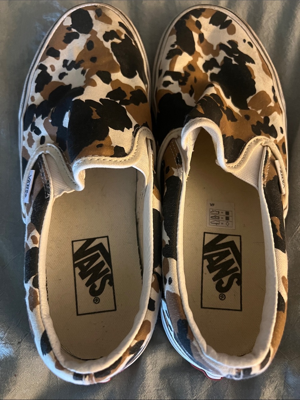 Printed vans - Picture 5 of 6
